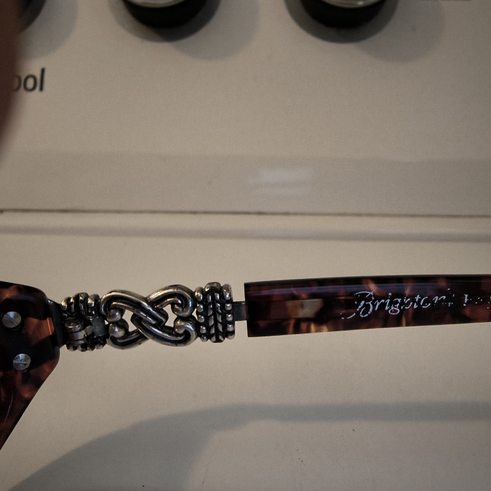 Brighton Tortoise Shell Sunglasses - image 5